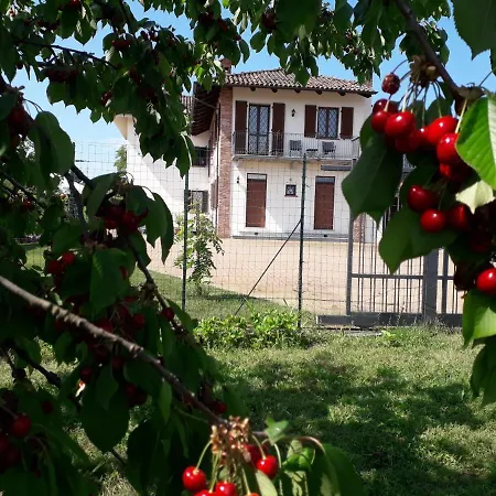 Acacia Rosa * Guarene