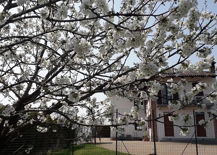 Bed & Breakfast Acacia Rosa