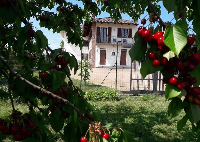 Acacia Rosa * Guarene